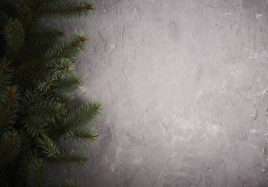 Noel geçmişi. Beton arka plan üzerinde Noel ağacı. 