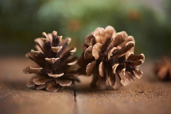 Conceição Férias Natal Imagem Alta Resolução — Fotografia de Stock