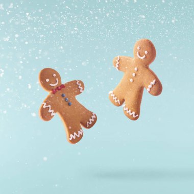 Noel tatili anlayışı. Yüksek çözünürlüklü görüntü. Levitation 