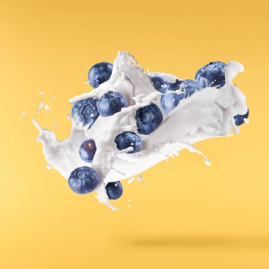 Taze yaban mersini, sarı arka planda izole edilmiş süt veya yoğurdun içine düşer. Süt ya da yoğurt, lezzetli sıvı ve boş böğürtlen tasarım için kullanılıyor.