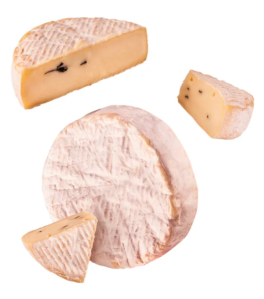 白を基調とした新鮮なおいしいチーズ 高画質 — ストック写真