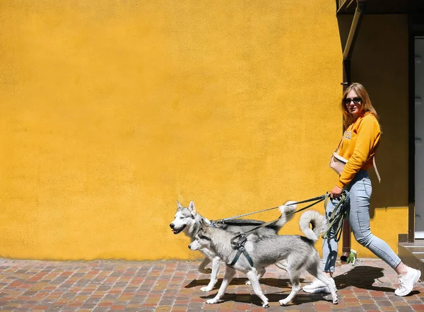 Isolerat Foto Flicka Promenader Med Sina Husdjur Siberian Husky Orange — Stockfoto