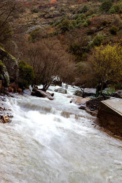 山上浮华清澈的河水急流 神奇的大自然 — 图库照片