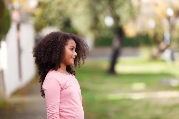 Uśmiechający Się Ładny African American Girl Pozowanie Parku — Zdjęcie stockowe