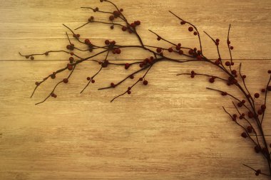 Güzel şube ahşap arka plan üzerinde kırmızı meyveler ile. Noel dekorasyon