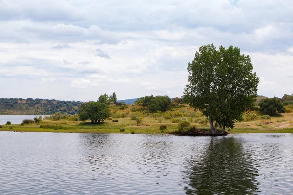 Los Pastos Extremadura España Hermoso Paisaje Con Hierba Verde —  Fotos de Stock