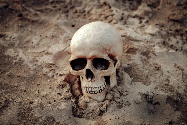Ανθρώπινο Κρανίο Στην Άμμο Ένα Τρομακτικό Εικόνας — Φωτογραφία Αρχείου