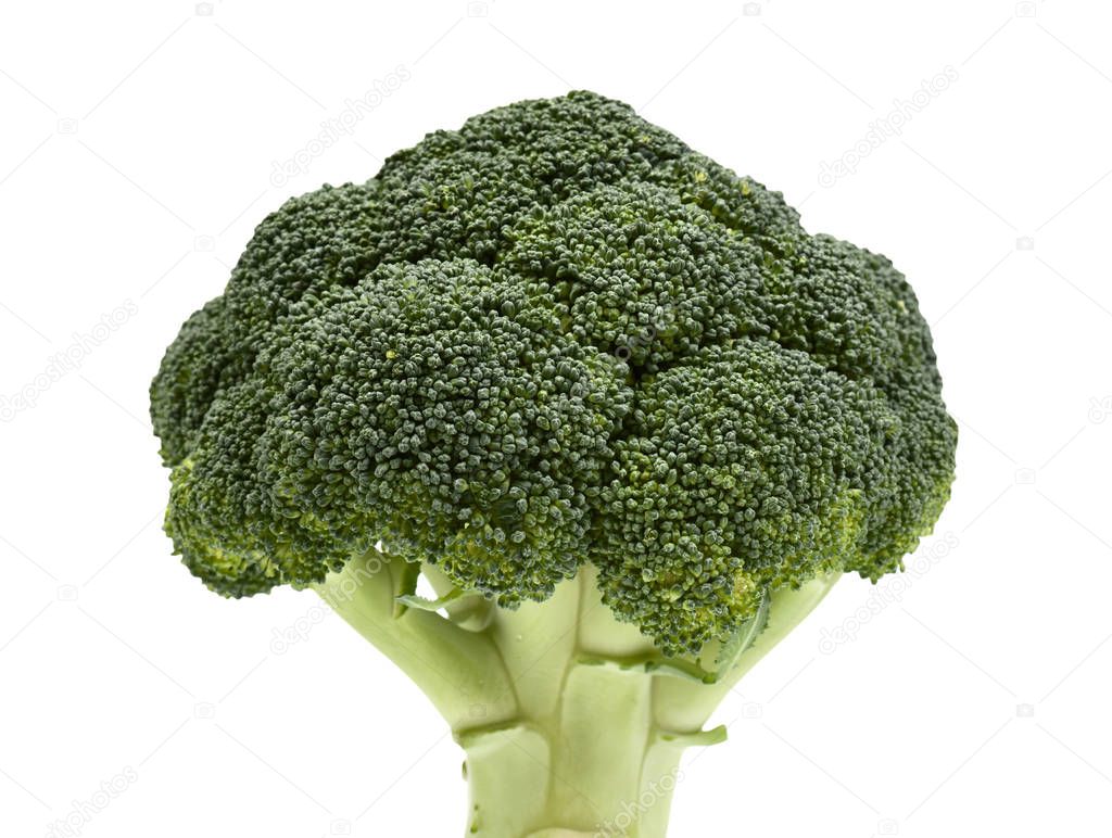 Broccoli. Healthy deep green vegetable isolated on white background