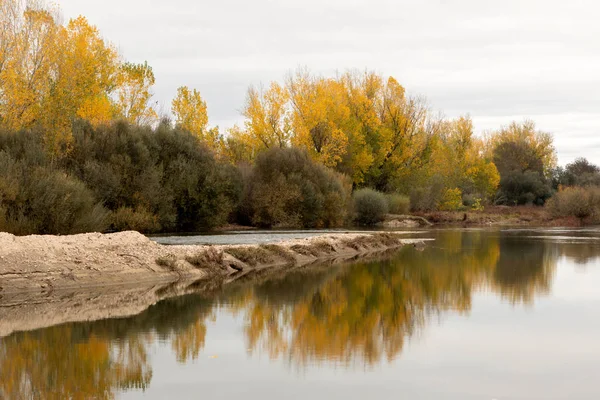 Betesmarker Extremadura Spanien Vackert Landskap Med Grönt Gräs — Stockfoto