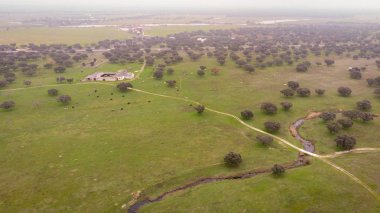 Extremadura coutryside güzel havadan görünümü