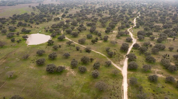 Bella Vista Aerea Della Campagna Estremadura — Foto Stock