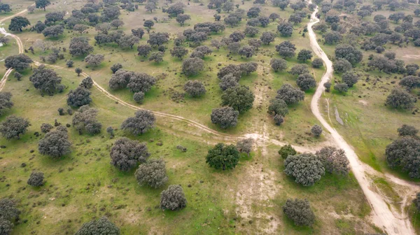 Schöne Luftaufnahme Der Landschaft Extremadura — Stockfoto