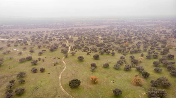 Schöne Luftaufnahme Der Landschaft Extremadura — Stockfoto