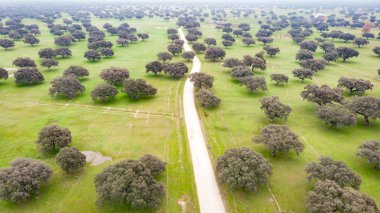 İspanya coutryside güzel havadan görünümü