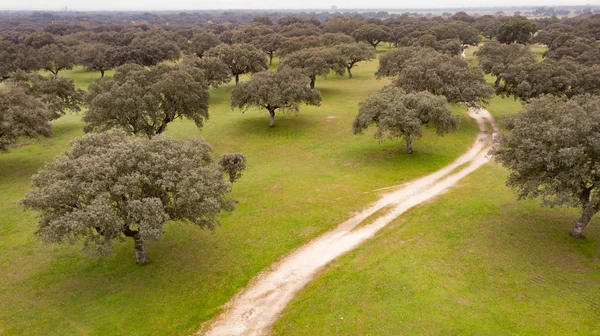 Schöne Luftaufnahme Der Landschaft Spanien — Stockfoto