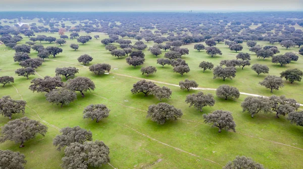 Hermosa Vista Aérea Del Campo España —  Fotos de Stock