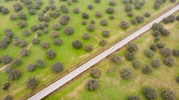 Veduta Aerea Sul Paesaggio Spagna Sopra Lecci — Foto Stock