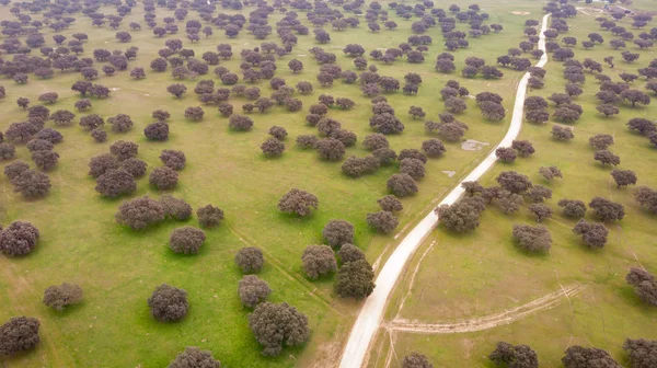 Bella Vista Aerea Della Campagna Spagna — Foto Stock