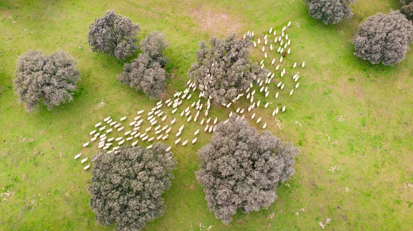 Bella Vista Aerea Della Campagna Spagna — Foto Stock