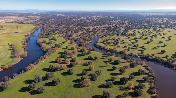 Luftaufnahme Zweier Flüsse Entlang Der Landschaft Spanien — Stockfoto