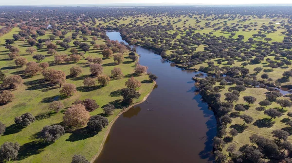 Luftaufnahme Zweier Flüsse Entlang Der Landschaft Spanien — Stockfoto