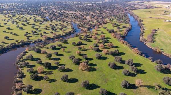 Veduta Aerea Due Fiumi Lungo Campagna Spagna — Foto Stock