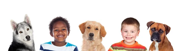 Kinderen Honden Een Goede Combinatie Geïsoleerd Een Witte Achtergrond — Stockfoto