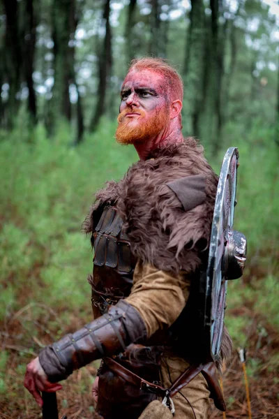 Bloedige Echte Viking Met Zijn Schild Het Platteland — Stockfoto