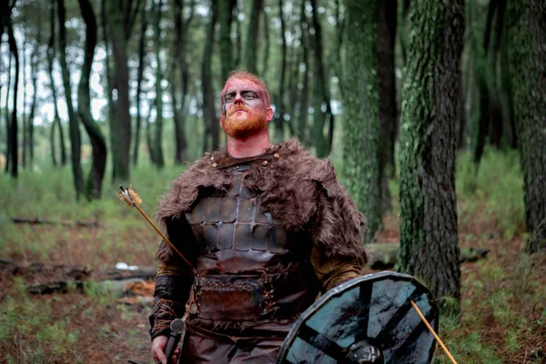 Kırsal Onun Kalkan Ile Kanlı Gerçek Viking — Stok fotoğraf