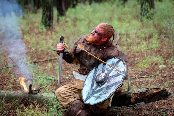 Kırsal Onun Kalkan Bir Ile Kanlı Gerçek Viking — Stok fotoğraf
