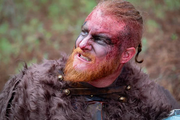 Kırsal Onun Kılıç Ile Kanlı Gerçek Viking — Stok fotoğraf