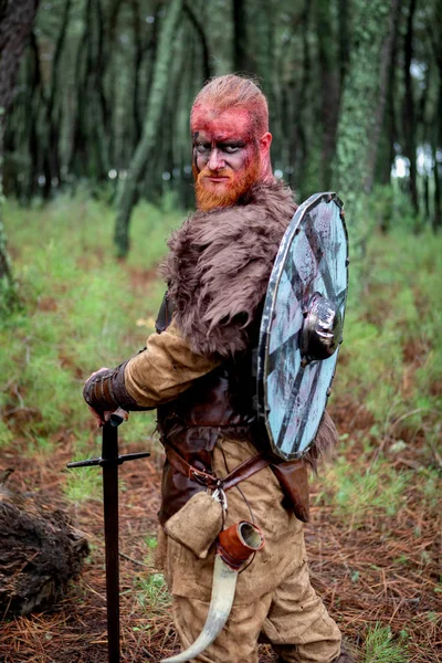 Bloody Real Viking His Shield Countryside Stock Photo