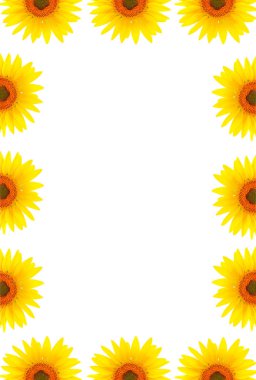 Doğal çiçeklerle süslenmiş boş beyaz sayfa