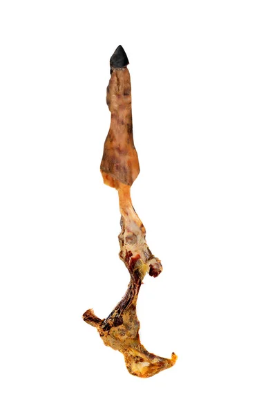 Οστά Ενός Ιβηρικού Ζαμπόν Πόδι Αφού Έχει Γίνει Απομονωμένη Λευκό — Φωτογραφία Αρχείου