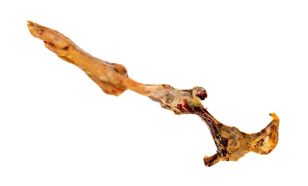 伊比利亚火腿的骨头 在它被吃掉后 在白色背景上孤立 — 图库照片