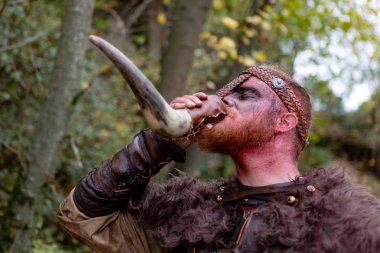 Gerçek viking Real viking kırsal bir boynuz içme.