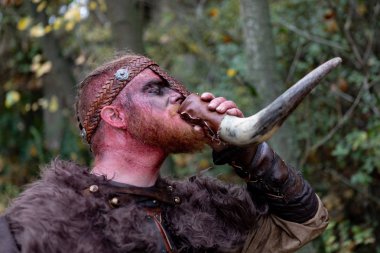 Gerçek viking Real viking kırsal bir boynuz içme.