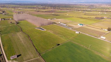hasat alanlarının havadan görünümü