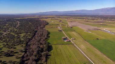 hasat alanlarının havadan görünümü