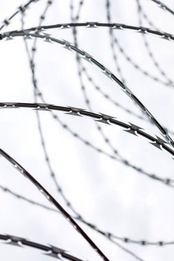 Dikenli telli bir çit