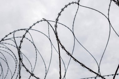 Dikenli telli bir çit