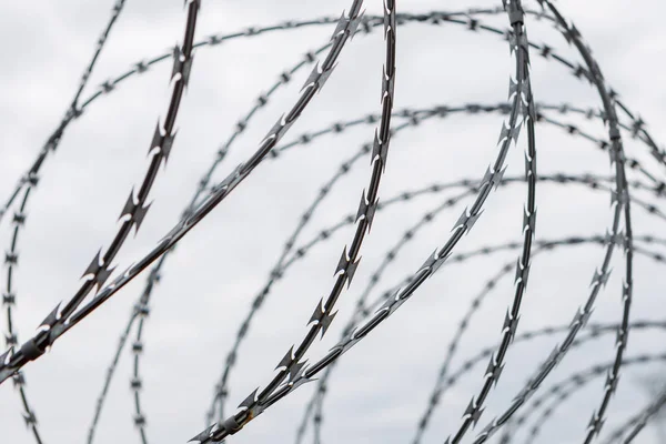 Fence with a barbed wire — Stock Photo, Image