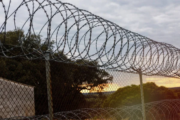 Fence with a barbed wire — Stock Photo, Image