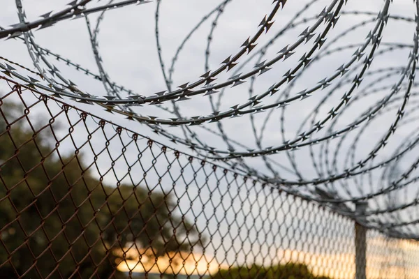 Fence with a barbed wire — Stock Photo, Image