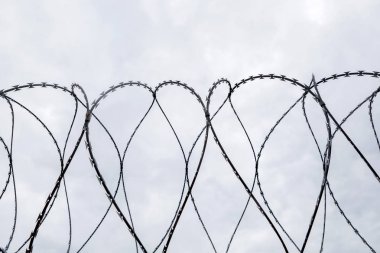 Dikenli telli bir çit