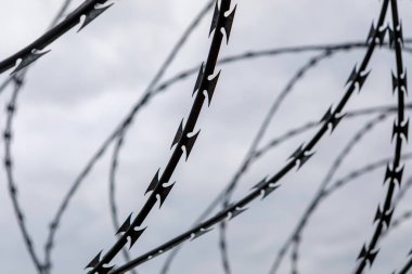 Dikenli telli bir çit  