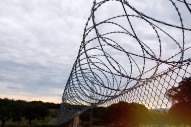 Dikenli telli bir çit