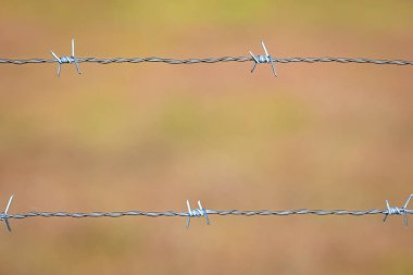 Tel örgü yakın çekim  