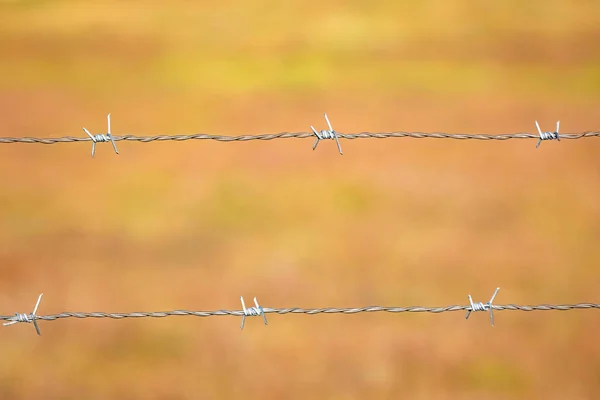 Cerca de arame fechar — Fotografia de Stock