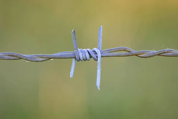 Wire fence close up — Stock Photo, Image
